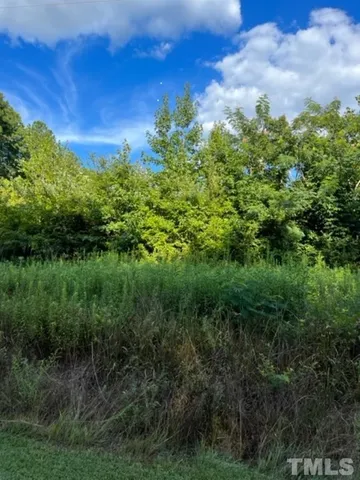 $25,000 | Christmas Road, Warrenton, NC 27589