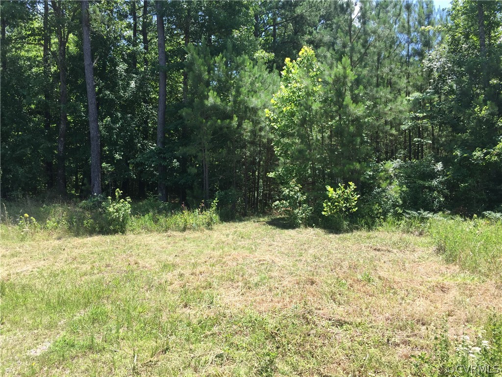 13-2-2 Cabin Point Road Waverly, VA 23890 - Photo 2 of 8 Gallery Image 2