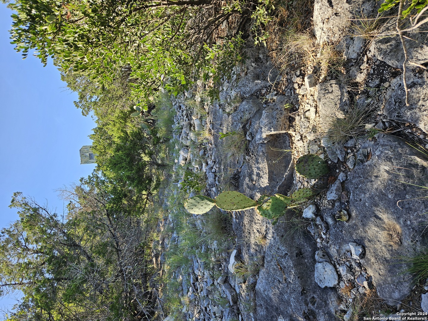 0 Riemer Crk Road Leakey, TX 78873 - Photo 11 of 14