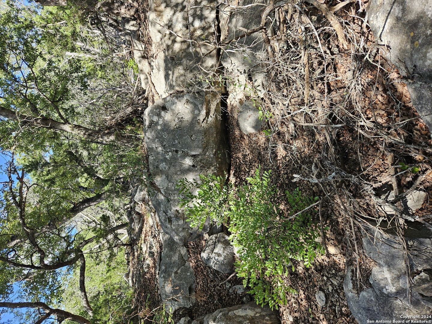 0 Riemer Crk Road Leakey, TX 78873 - Photo 13 of 14