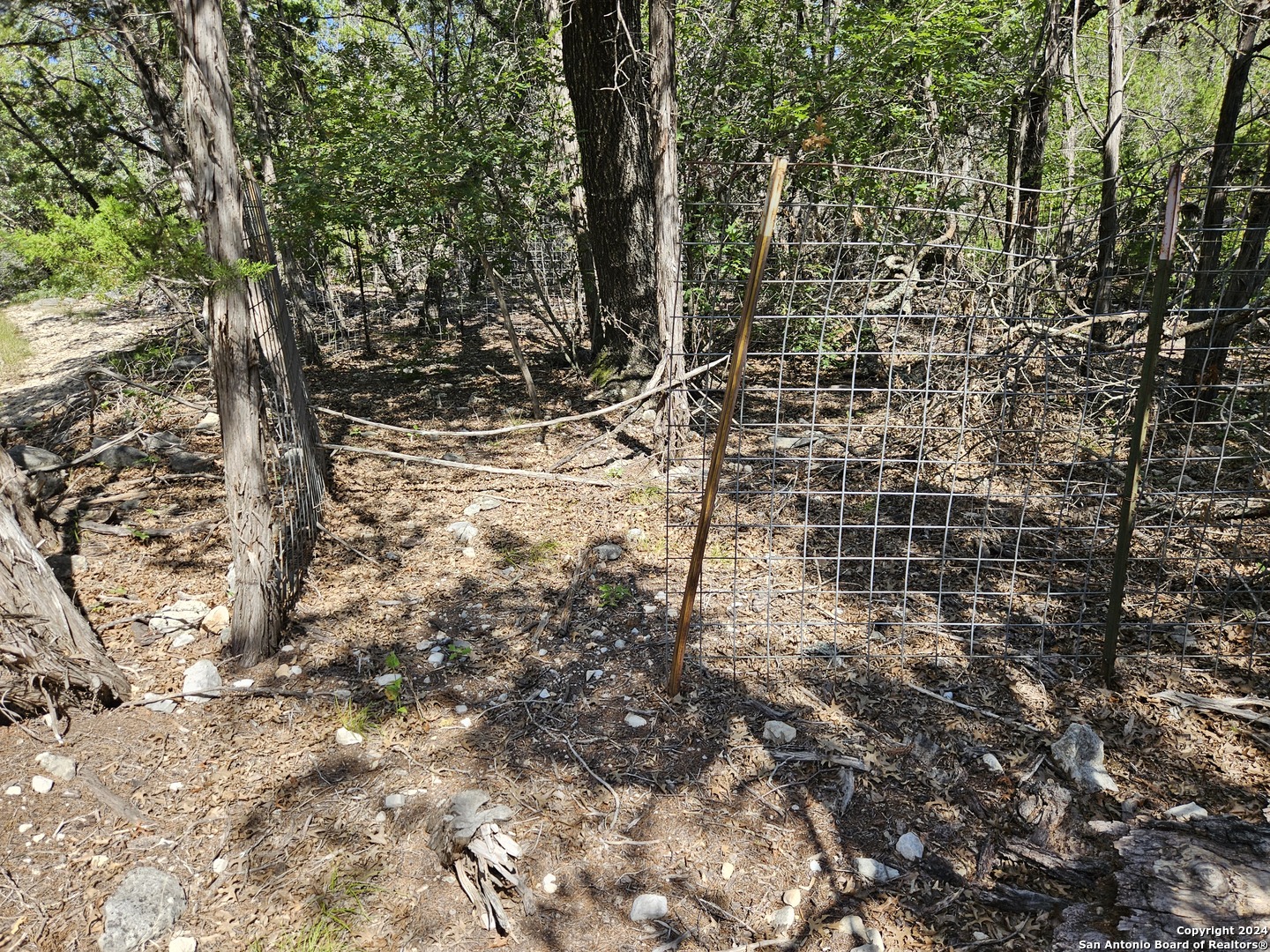 0 Riemer Crk Road Leakey, TX 78873 - Photo 14 of 14