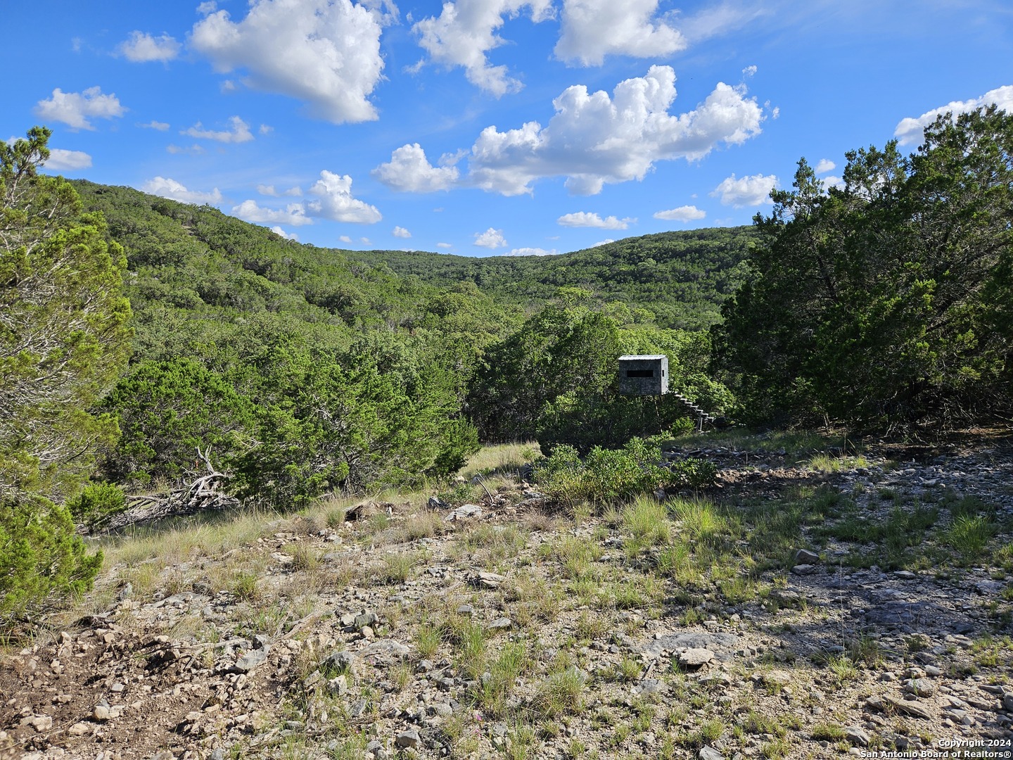 0 Riemer Crk Road Leakey, TX 78873 - Photo 2 of 14