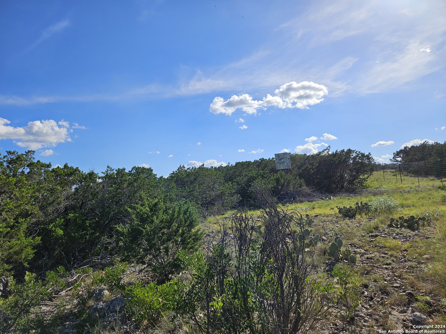 0 Riemer Crk Road Leakey, TX 78873 - Photo 6 of 14