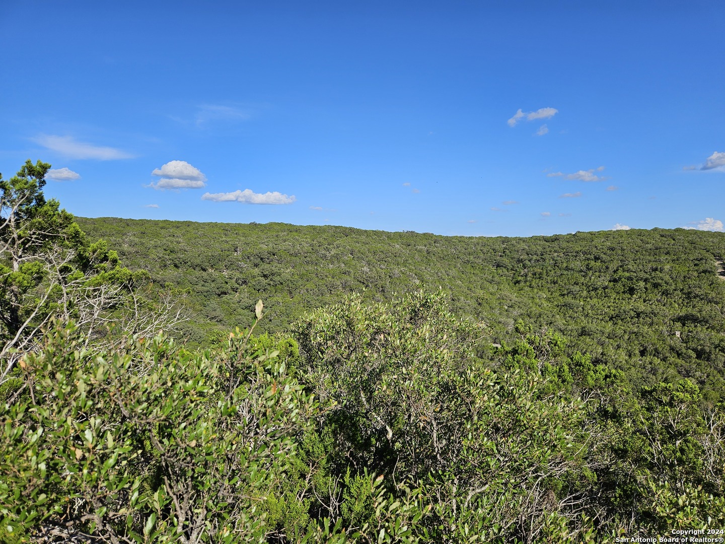 0 Riemer Crk Road Leakey, TX 78873 - Photo 9 of 14