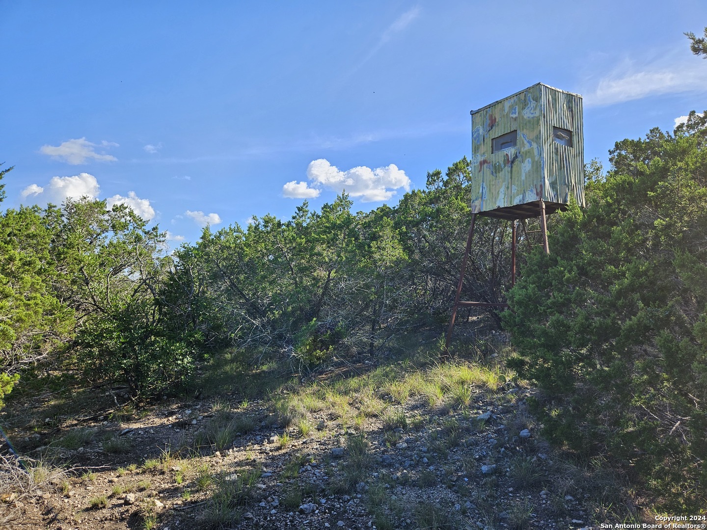 0 Riemer Crk Road Leakey, TX 78873 - Photo 10 of 14