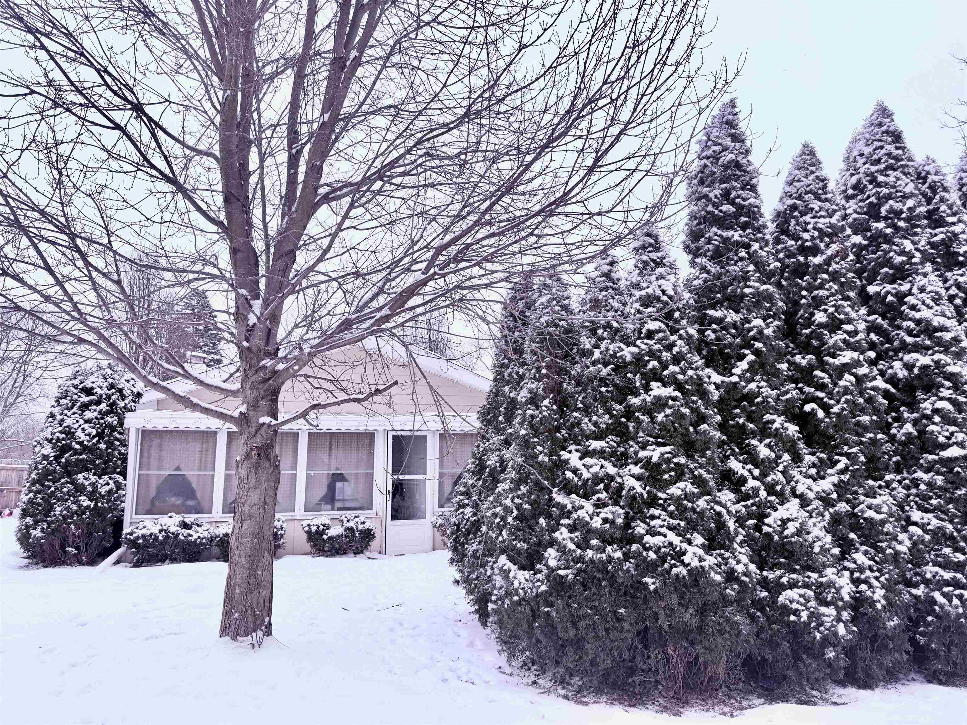 10499 Rene Street Clio, MI 48420 - Photo 7 of 66 50165795-67128b06-70dc-4676-a1d5-a8e373f24f02.JPG