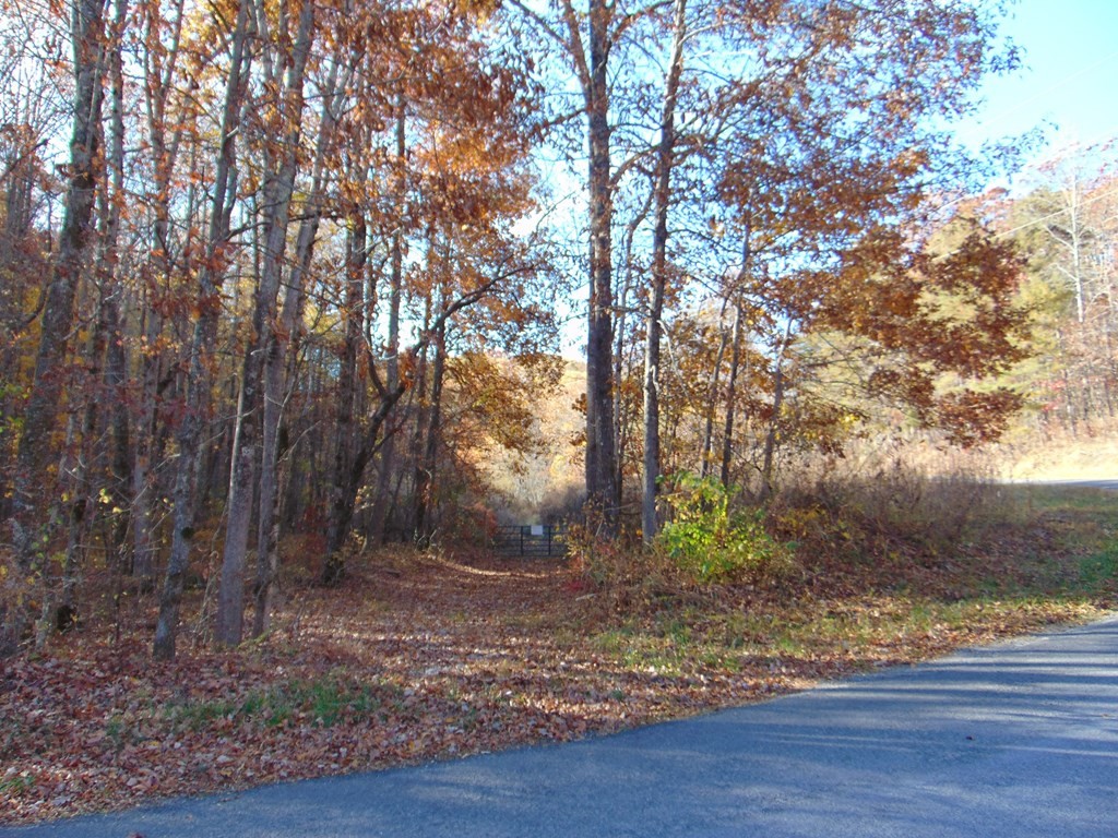 0 Raccoon Ridge Road Spring City, TN 37381 - Photo 68 of 70