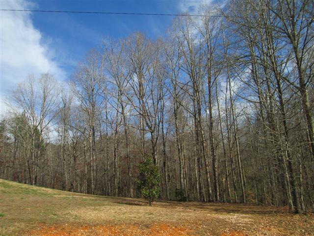 0 Riverside Tallapoosa, GA 30176 - Photo 1 of 1 Gallery Image 1