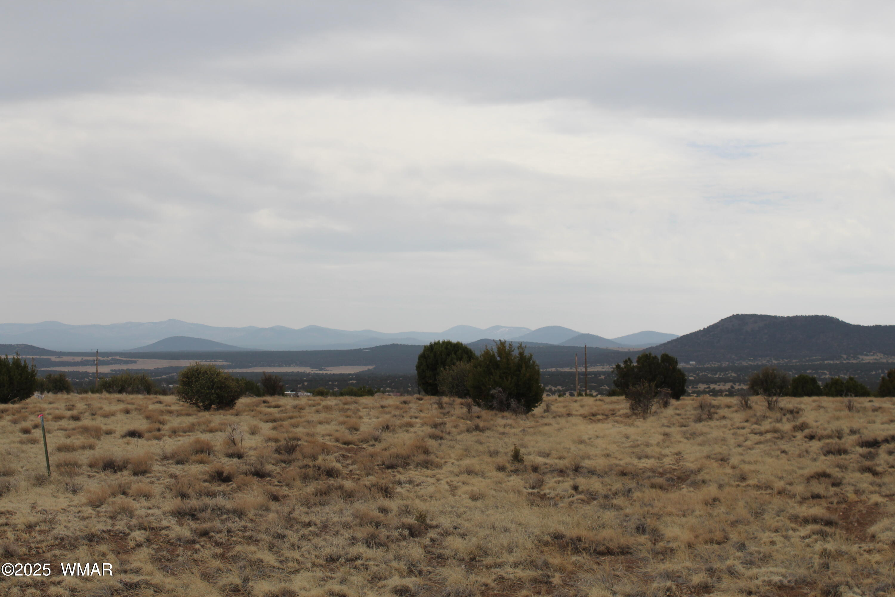 21 County Road Concho, AZ 85924 - Photo 14 of 22 a view of outdoor space and mountain view