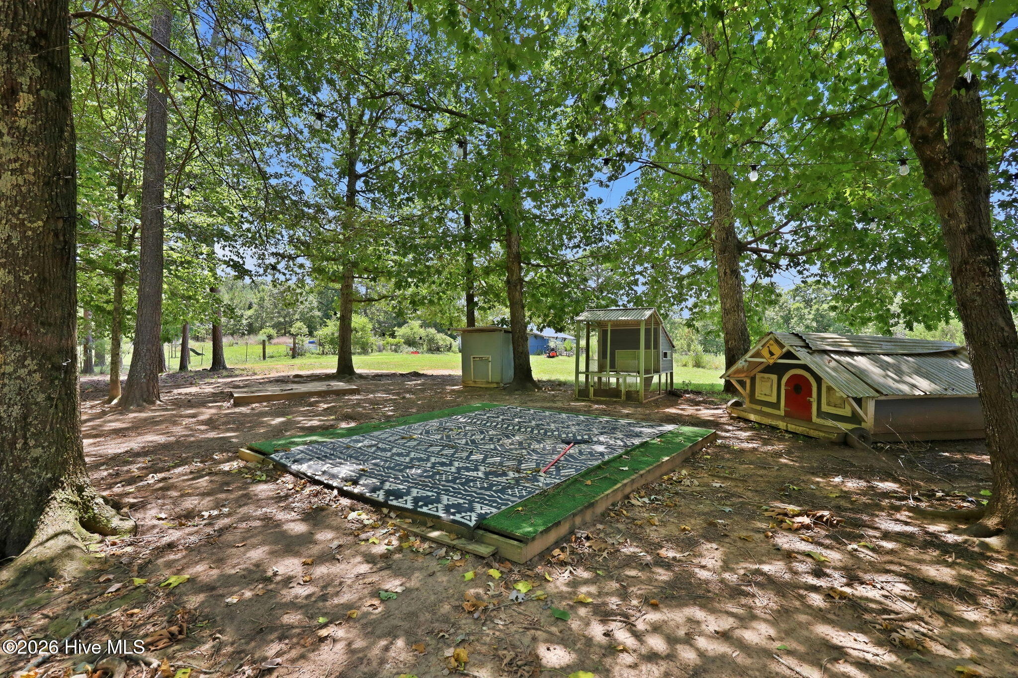 124 Riverside Road Carthage, NC 28327 - Photo 60 of 64