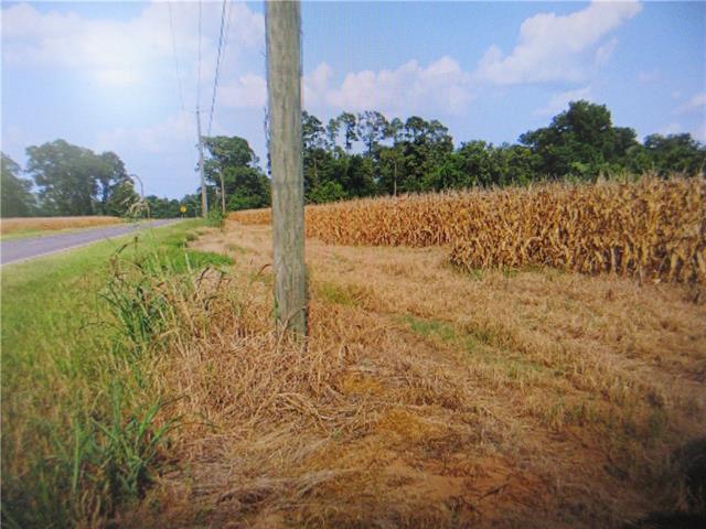 Tbd Hot Wells Road Boyce, LA 71409 - Photo 3 of 3