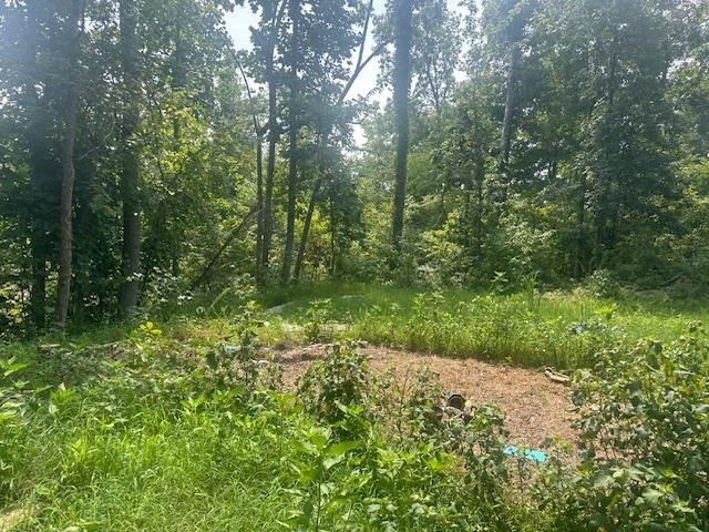 70 Short Road Adamsville, TN 38310 - Photo 1 of 6 View of local wilderness
