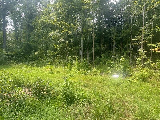 70 Short Road Adamsville, TN 38310 - Photo 3 of 6 View of landscape
