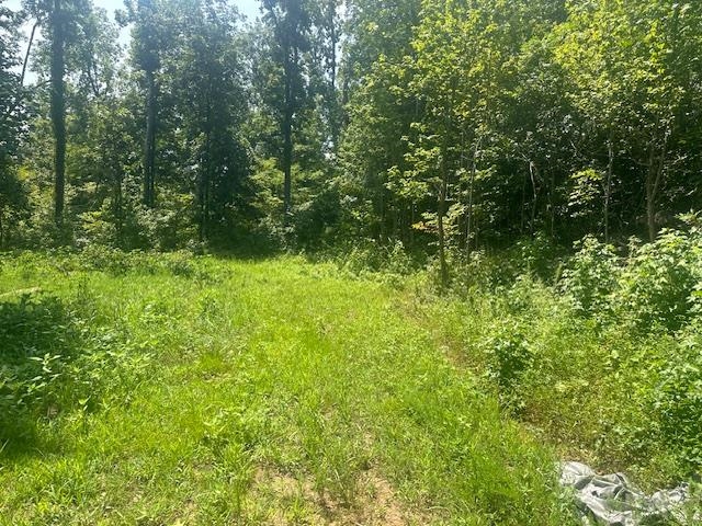 70 Short Road Adamsville, TN 38310 - Photo 4 of 6 View of nature