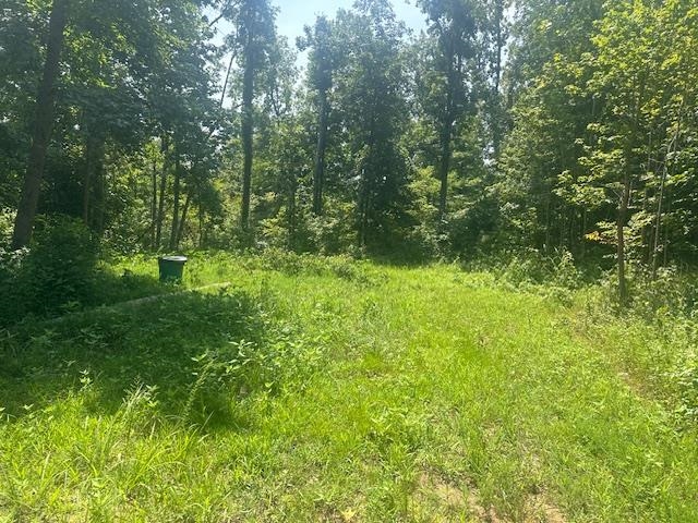 70 Short Road Adamsville, TN 38310 - Photo 5 of 6 View of local wilderness