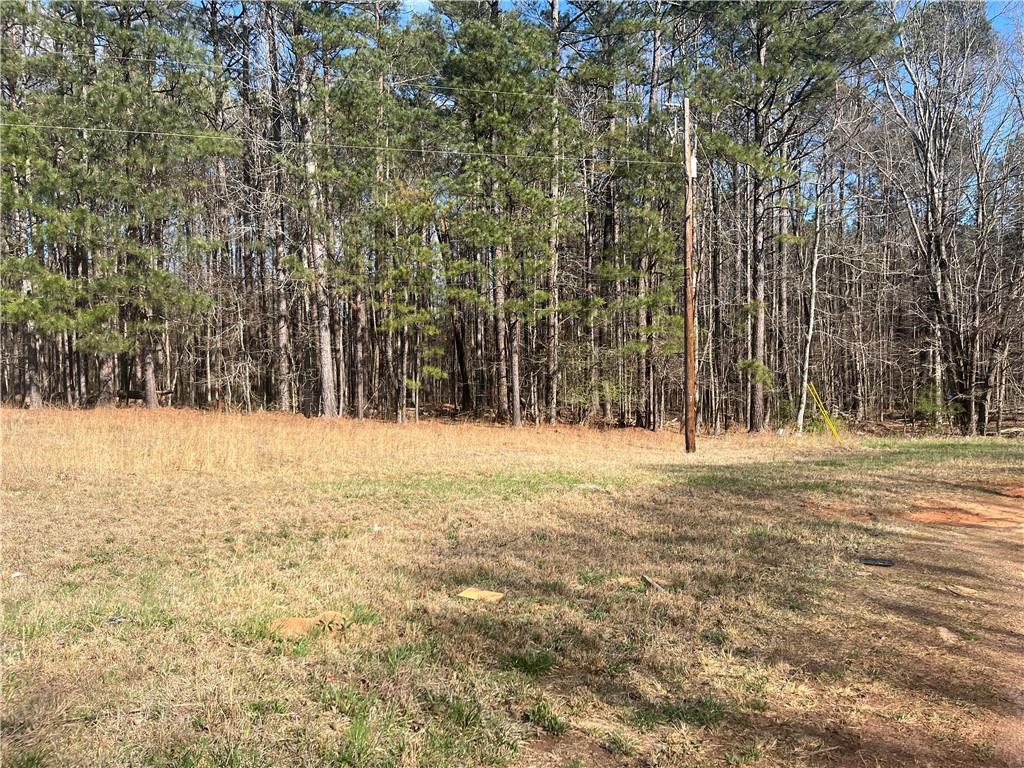 2811 Noahs Ark Road Jonesboro, GA 30236 - Photo 4 of 10