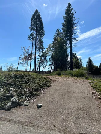 a view of outdoor space and yard