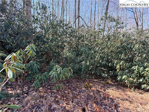 $75,000 | 543 Pinnacle Ridge Road, Beech Mountain, NC 28604