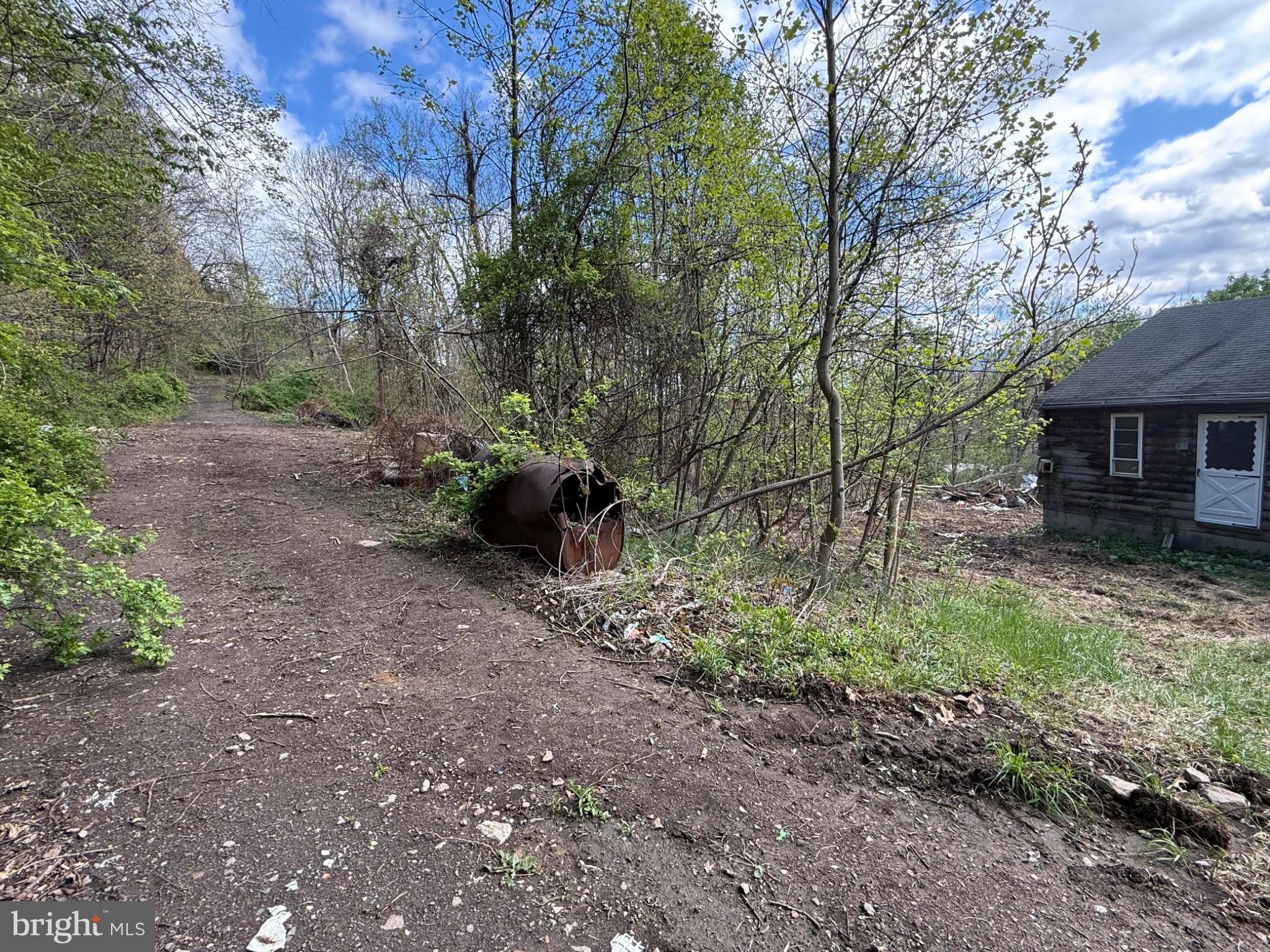 15232 Wrangletown Road Mount Union, PA 17066 - Photo 9 of 92 Overgrown path leads to hidden potential.