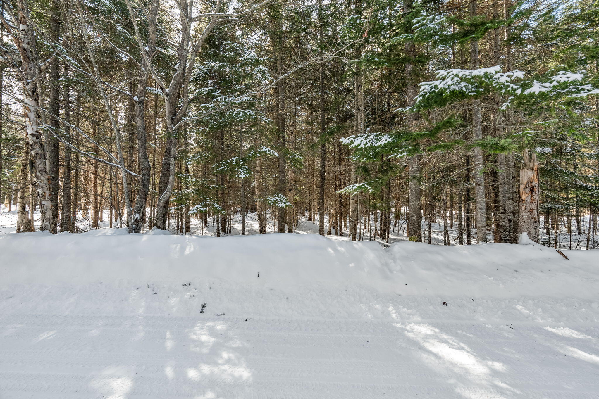 27-12 Winter Road Rangeley, ME 04970 - Photo 5 of 23