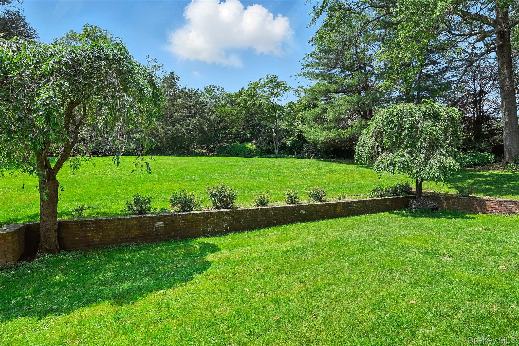 6 Club Road Rye, NY 10580 - Photo 21 of 28 a view of a field and trees with a big yard