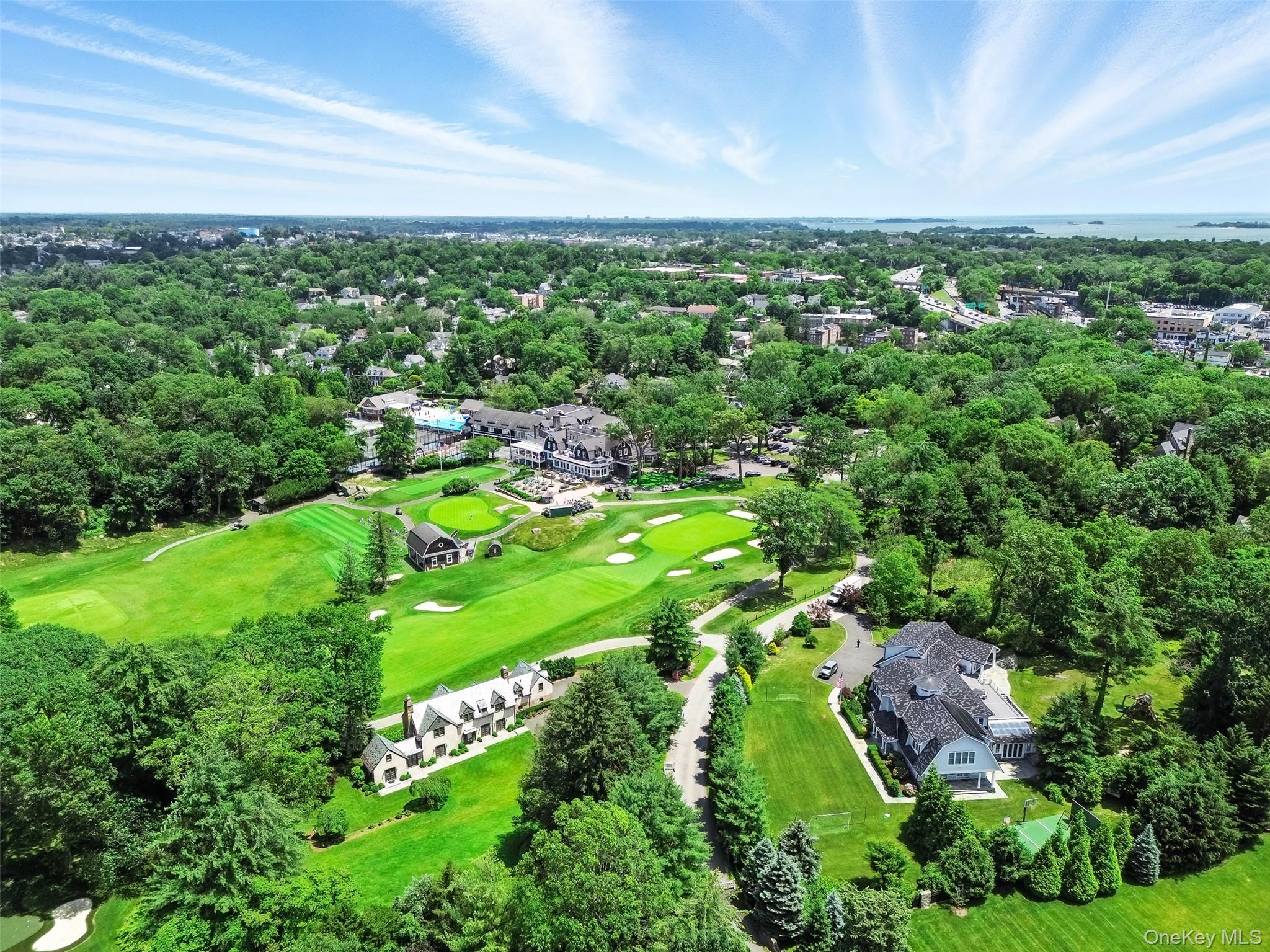 6 Club Road Rye, NY 10580 - Photo 3 of 28 a view of a city