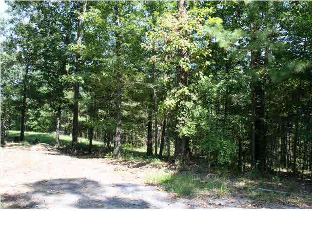 6190 Terry Road Byram, MS 39272 - Photo 8 of 9 Photo 8