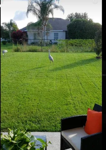 a view of a backyard with a garden