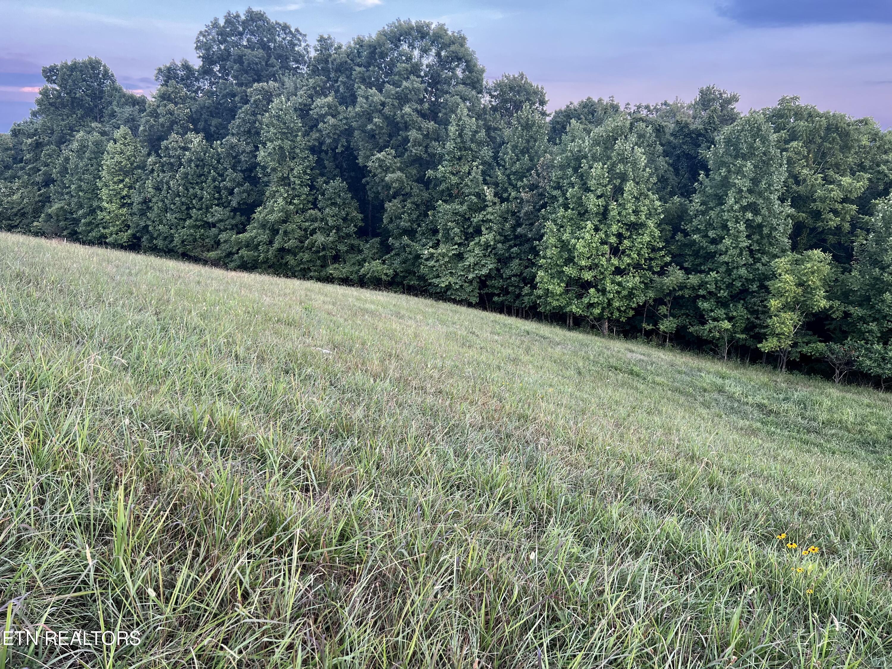 Lot 146 Tanzanite Trail New Tazewell, TN 37825 - Photo 11 of 26 Lot 146, Tanzanite Tr