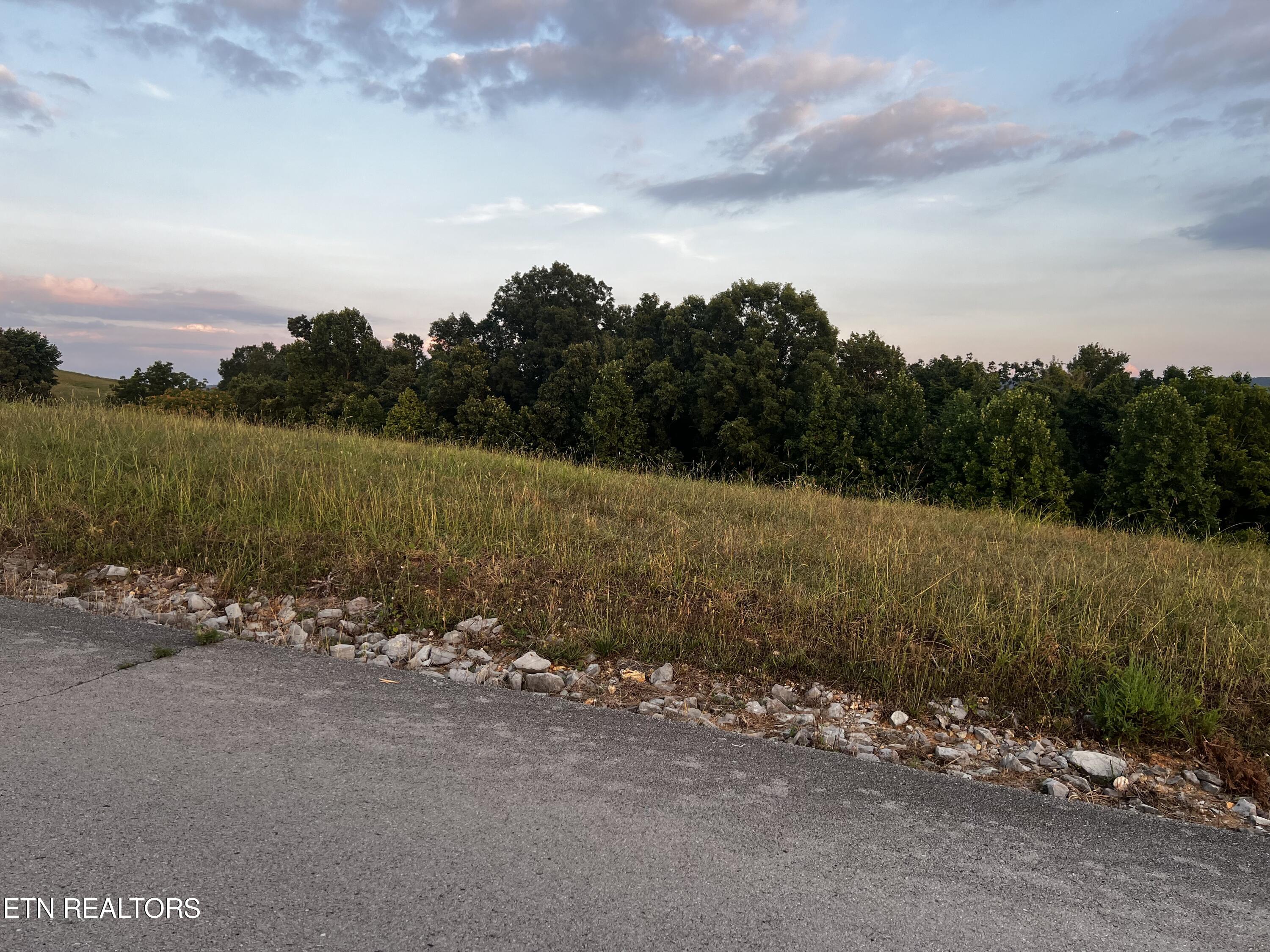 Lot 146 Tanzanite Trail New Tazewell, TN 37825 - Photo 13 of 26 Lot 146, Tanzanite Tr