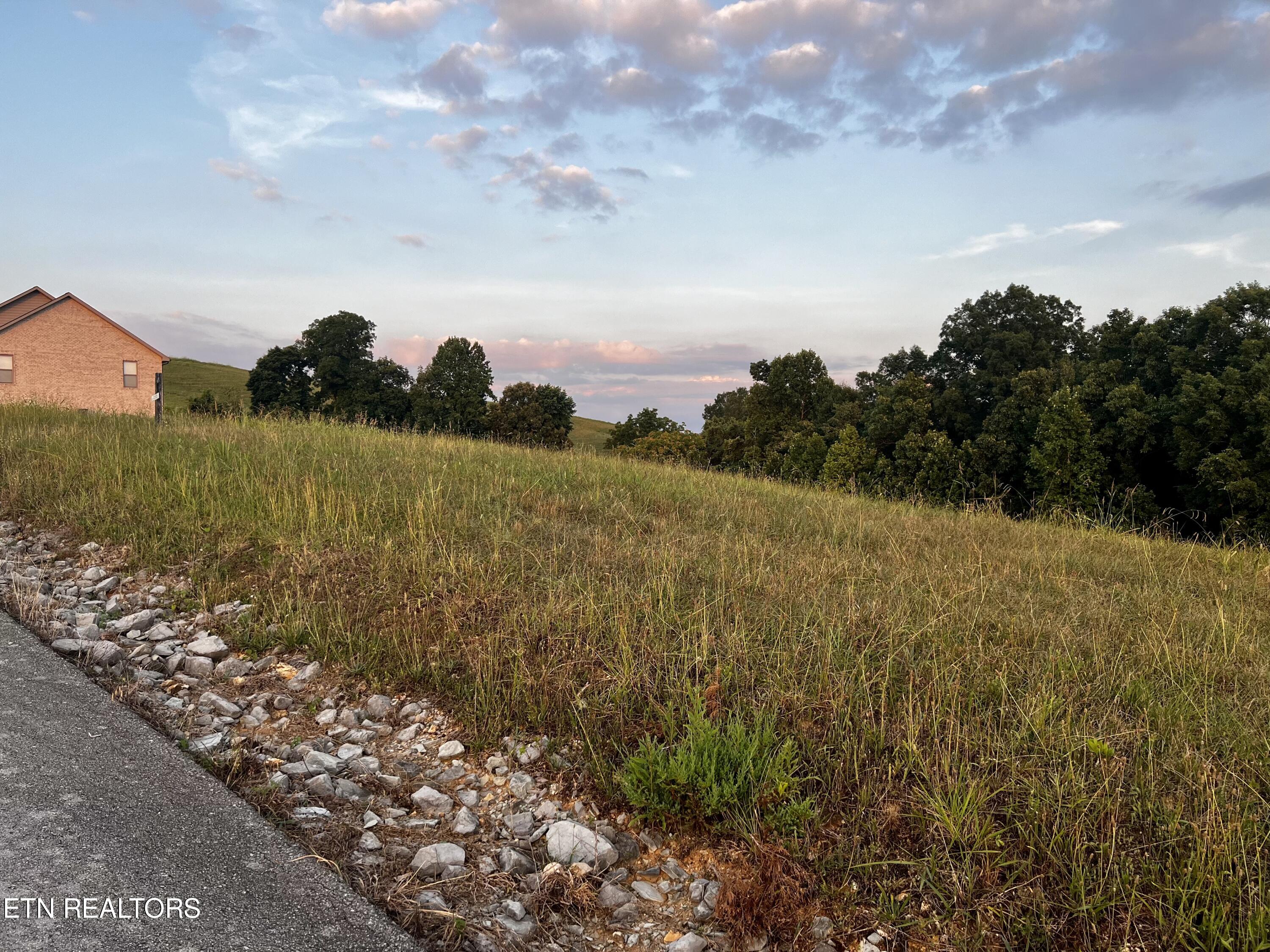 Lot 146 Tanzanite Trail New Tazewell, TN 37825 - Photo 14 of 26 Lot 146, Tanzanite Tr