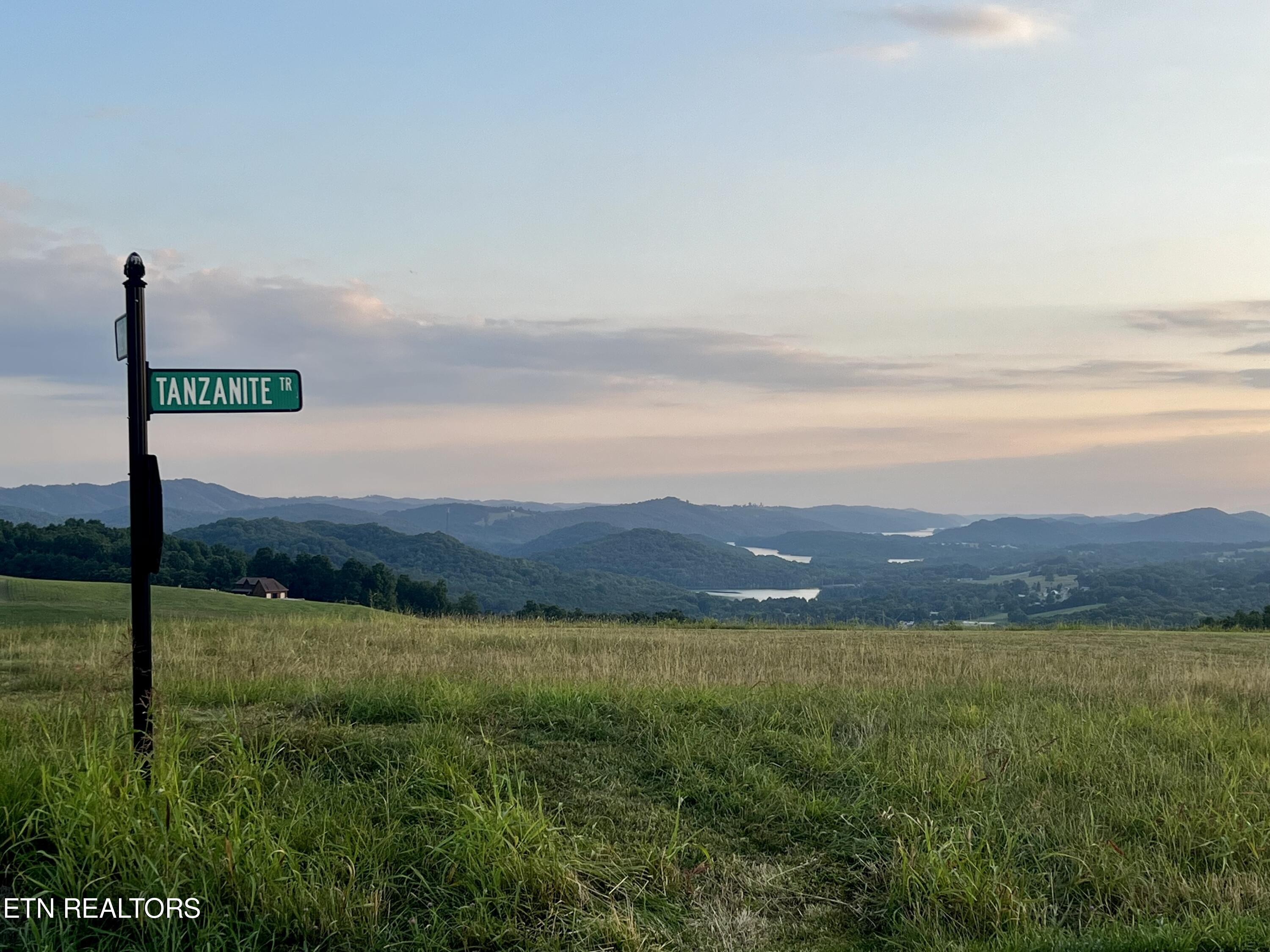 Lot 146 Tanzanite Trail New Tazewell, TN 37825 - Photo 15 of 26 View heading to the lot