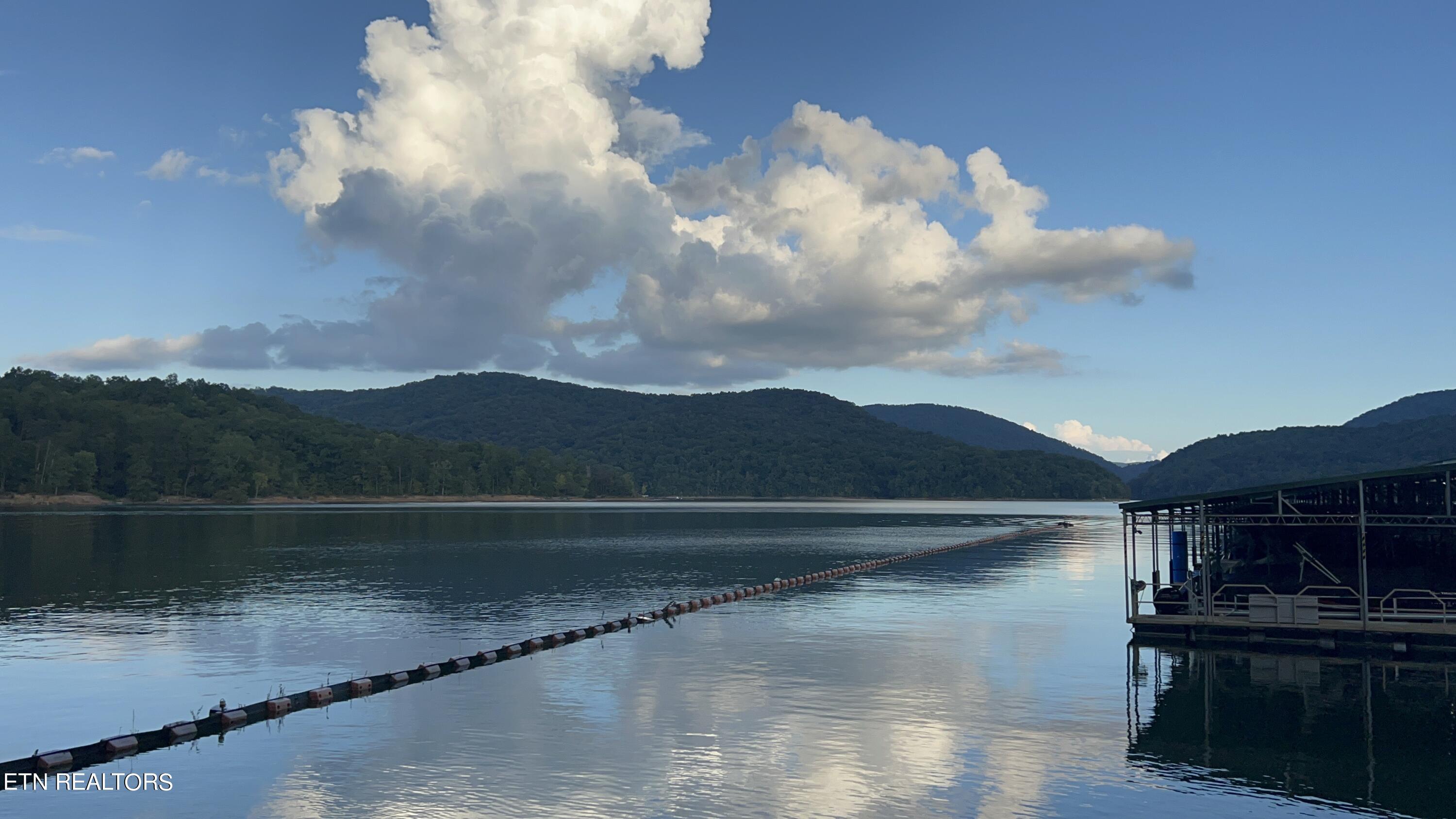 Lot 146 Tanzanite Trail New Tazewell, TN 37825 - Photo 19 of 26 Norris Lake