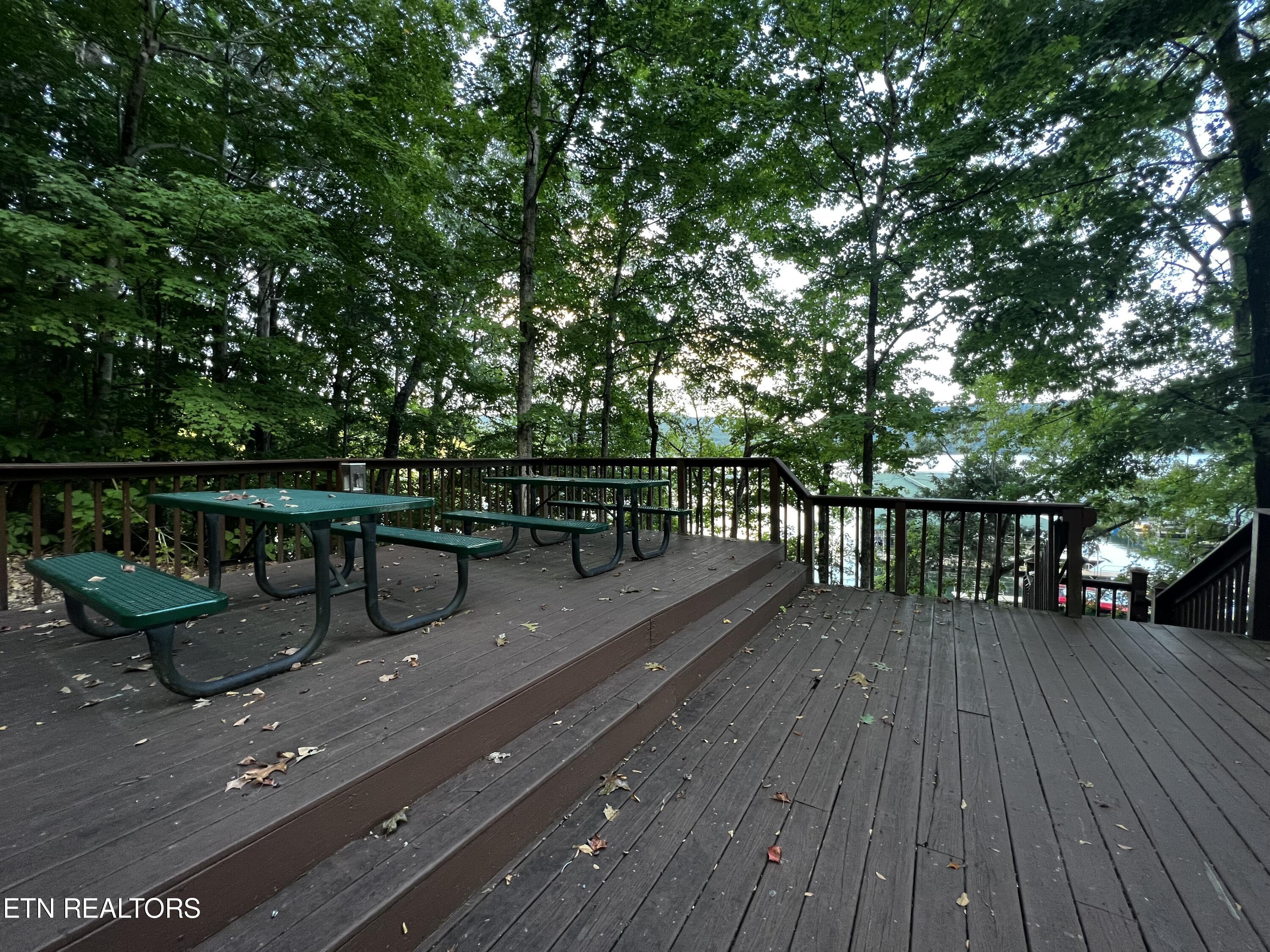 Lot 146 Tanzanite Trail New Tazewell, TN 37825 - Photo 21 of 26 Picnic Area