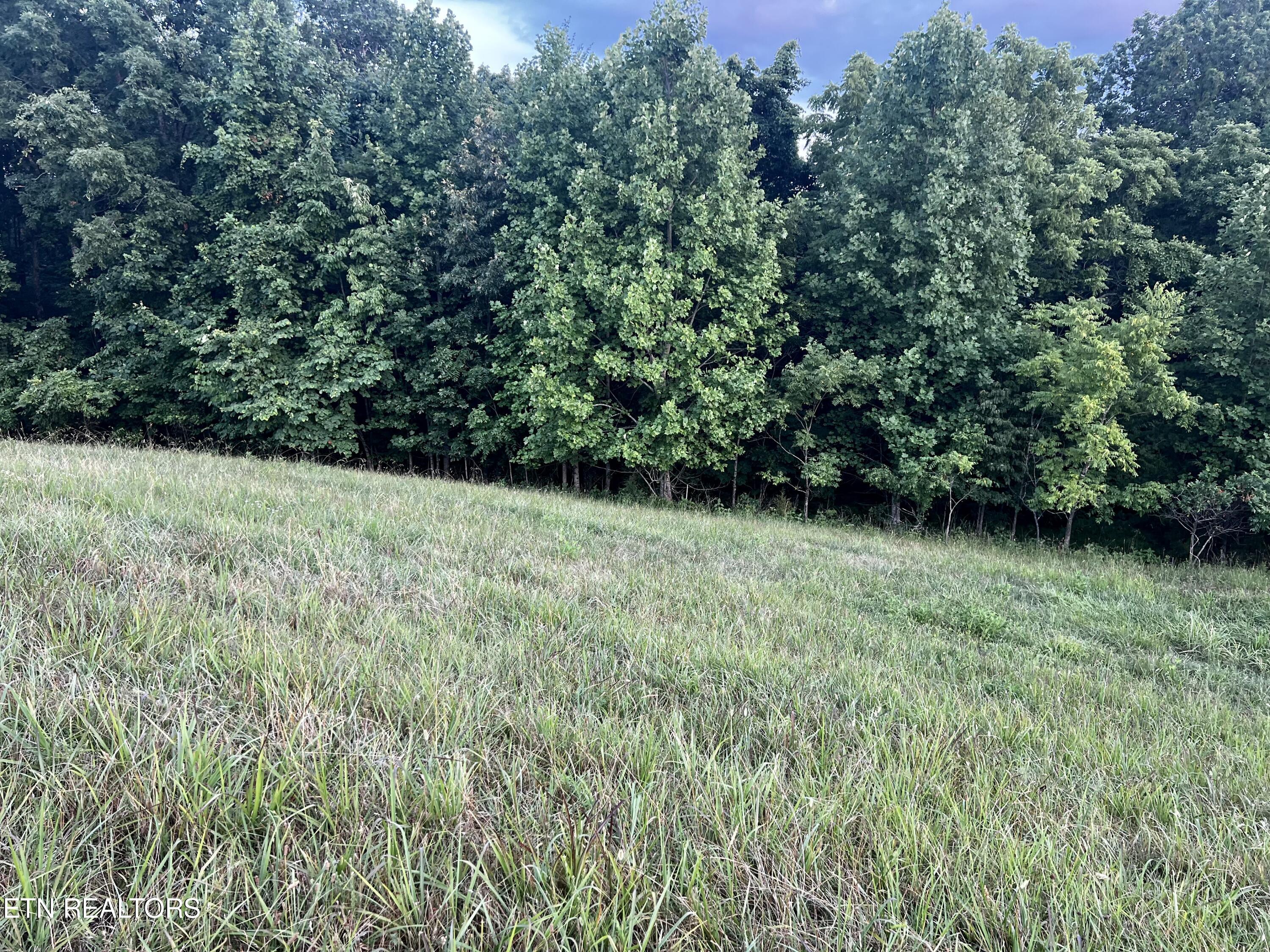 Lot 146 Tanzanite Trail New Tazewell, TN 37825 - Photo 8 of 26 Lot 146, Tanzanite Tr