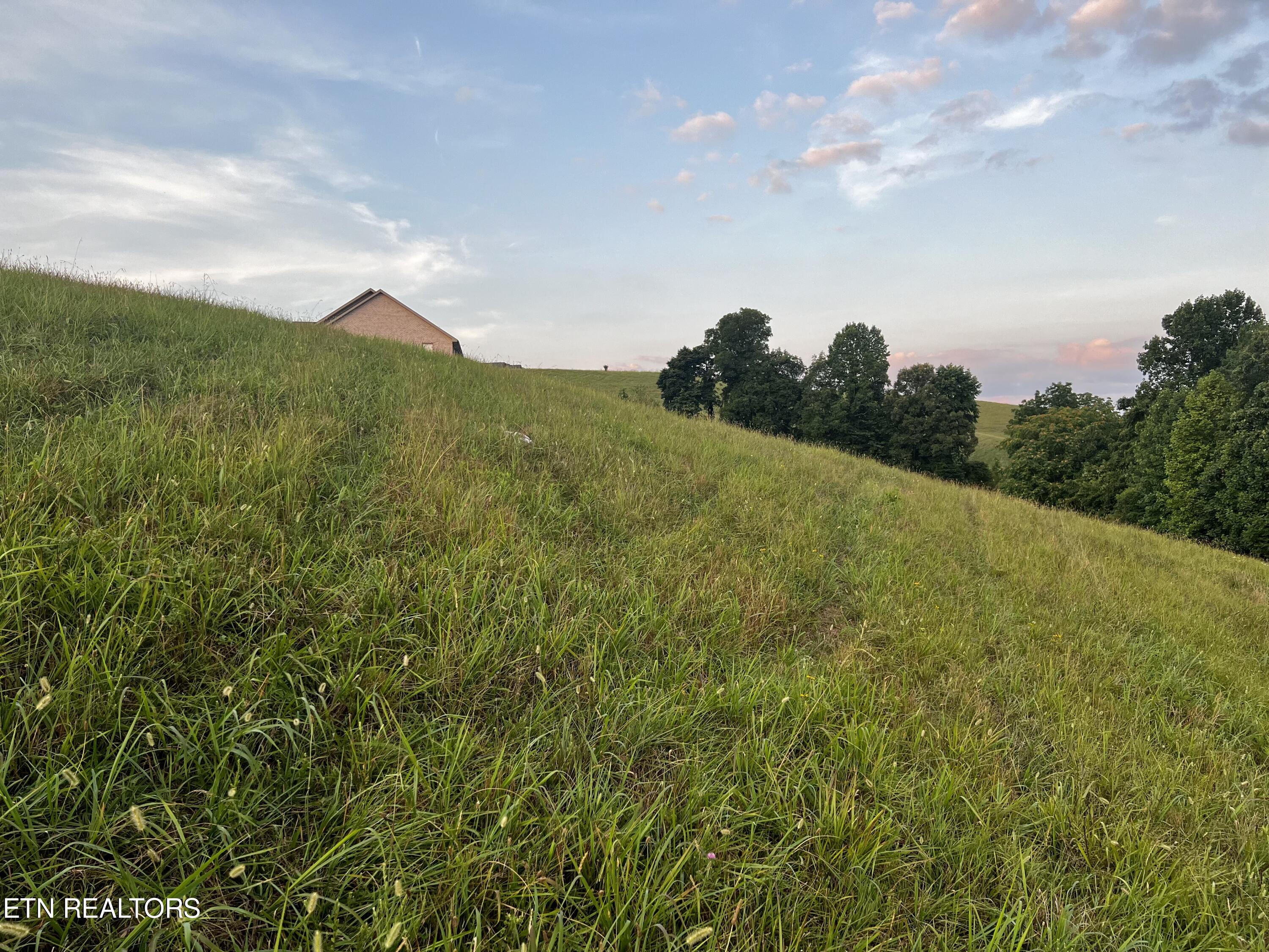 Lot 146 Tanzanite Trail New Tazewell, TN 37825 - Photo 9 of 26 Lot 146, Tanzanite Tr