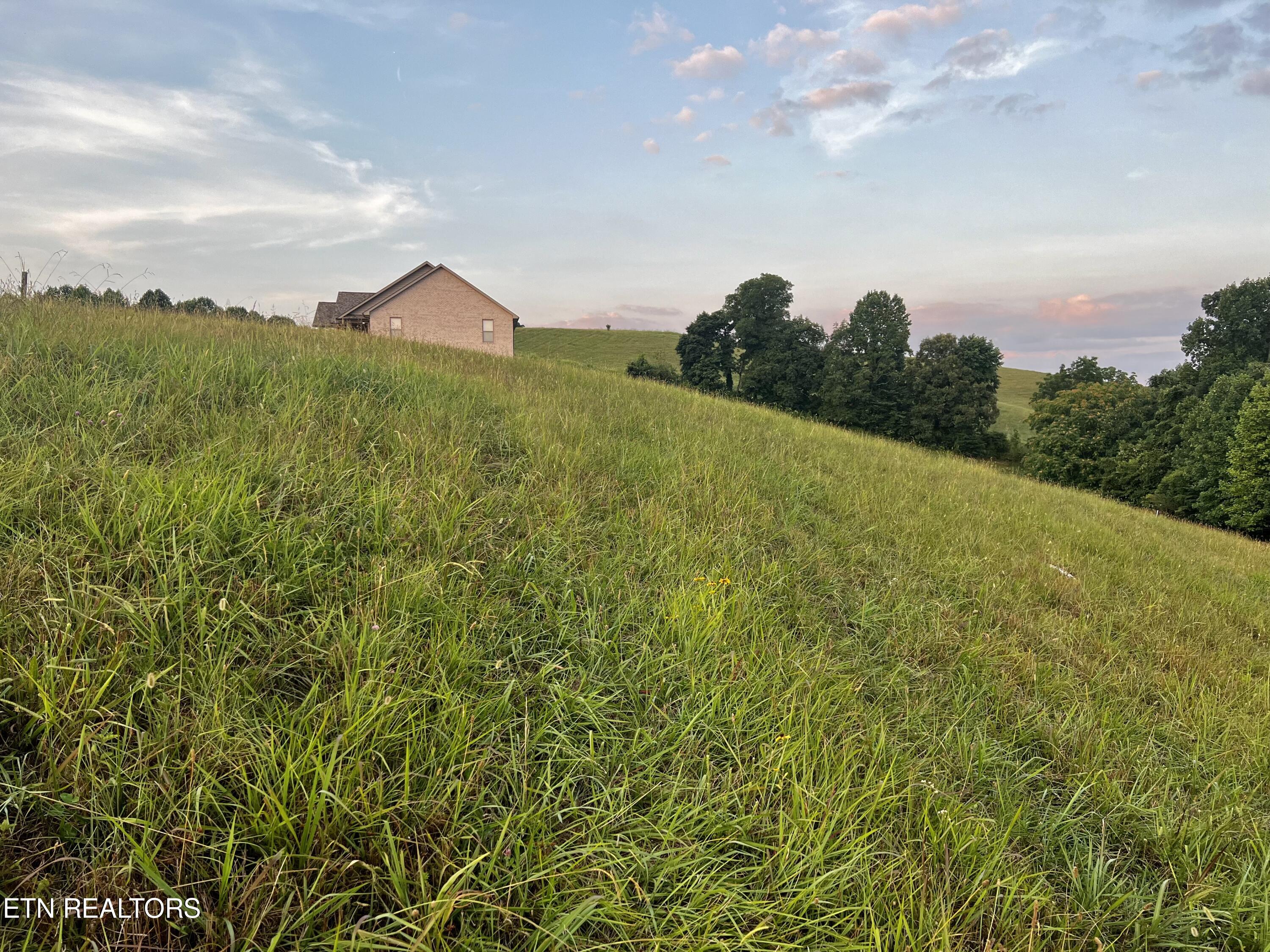 Lot 146 Tanzanite Trail New Tazewell, TN 37825 - Photo 10 of 26 Lot 146, Tanzanite Tr
