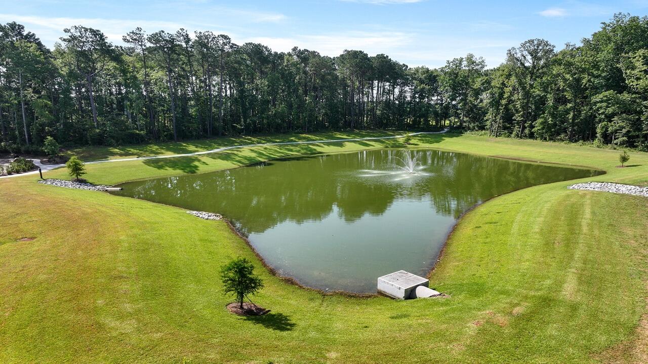 321 Bluebell Way Moncks Corner, SC 29461 - Photo 35 of 40 17_dji_20250625101918_0142_d