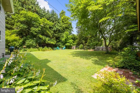 a view of yard