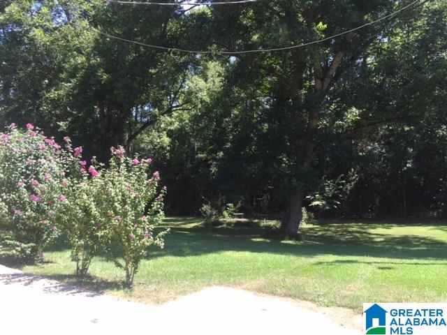 144 Highway 19 Montevallo Al Montevallo, AL 35115 - Photo 5 of 24