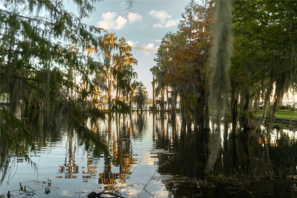 713 Main Street Windermere, FL 34786 - Photo 73 of 82 a view of lake