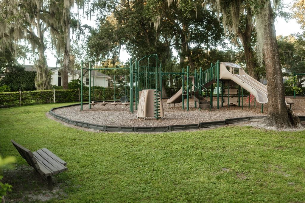 713 Main Street Windermere, FL 34786 - Photo 75 of 82