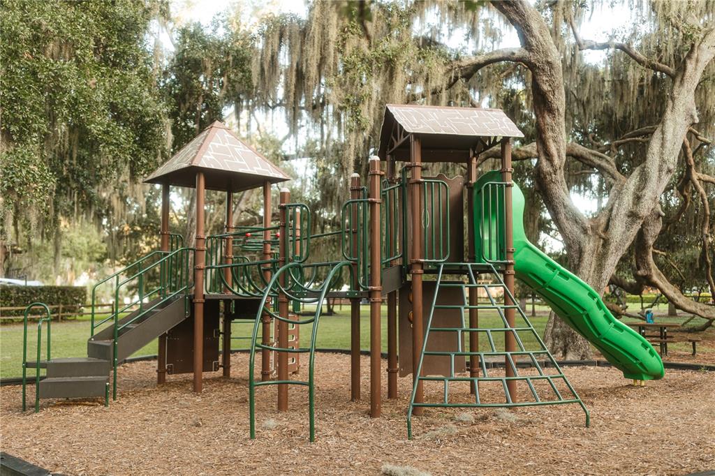 713 Main Street Windermere, FL 34786 - Photo 76 of 82