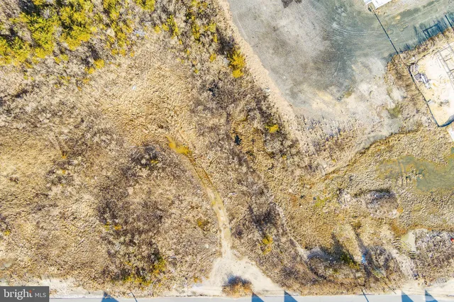a close up of a snow in a yard