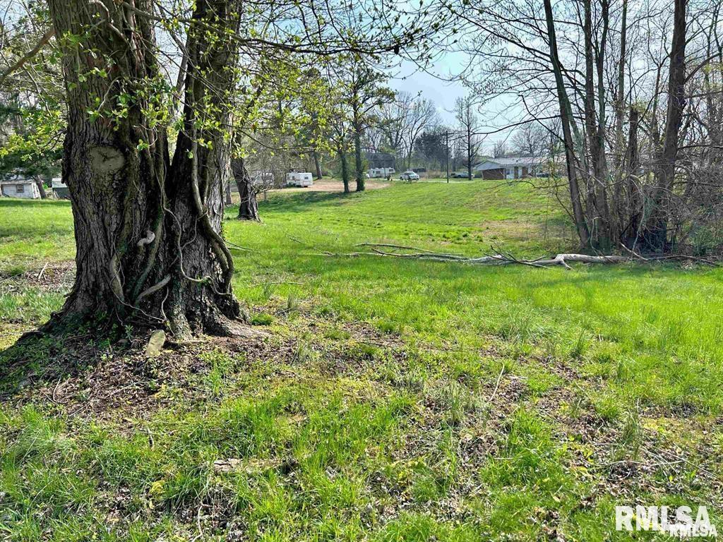 0 Lewis Street Golconda, IL 62938 - Photo 2 of 3 a view of a backyard with large trees