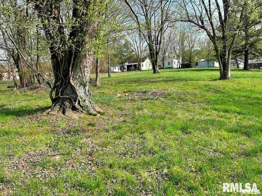 0 Lewis Street Golconda, IL 62938 - Photo 3 of 3 a view of a park with large trees