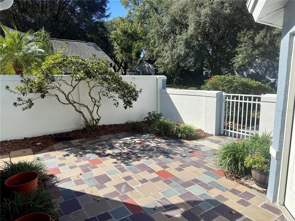 8037 Southwest 115th Loop Ocala, FL 34481 - Photo 5 of 47 a view of a yard with plants and wooden fence