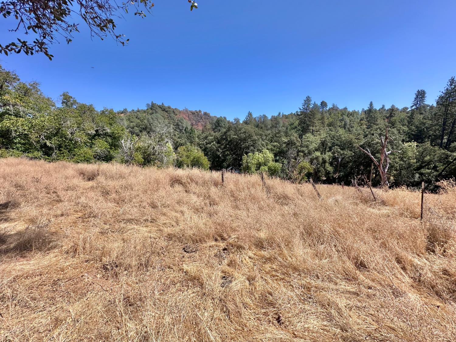 3280 Murphys Grade Road Murphys, CA 95247 - Photo 50 of 57 Gallery Image 50