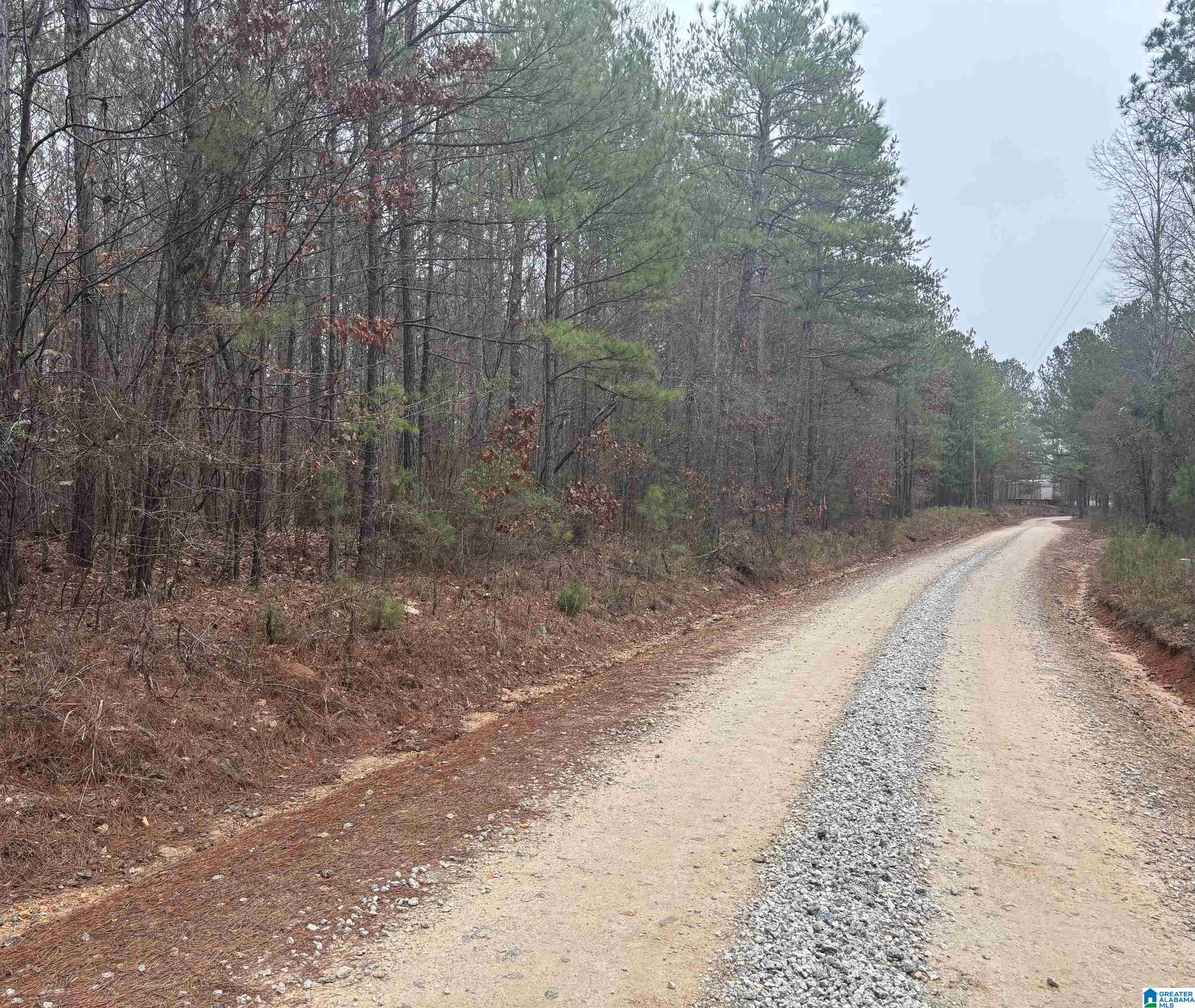823 County Road, Unit 2 Wadley, AL 36276 - Photo 2 of 7