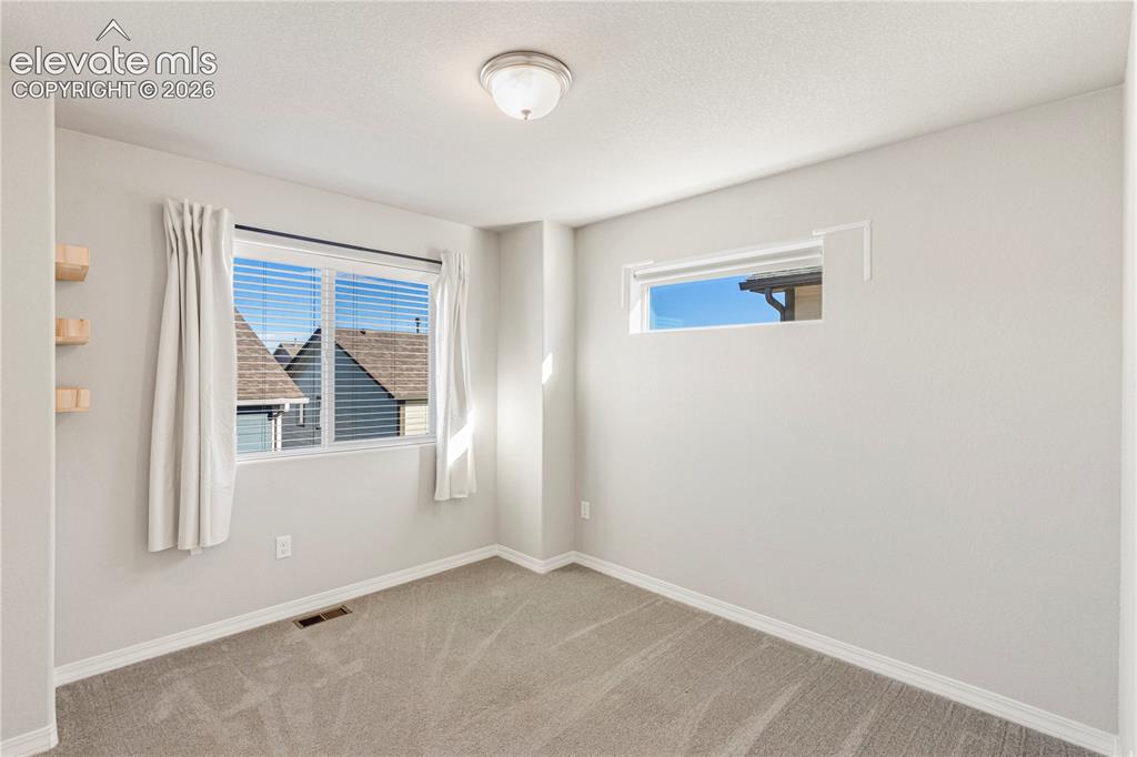 4439 Samaritan Loop Colorado Springs, CO 80916 - Photo 26 of 42